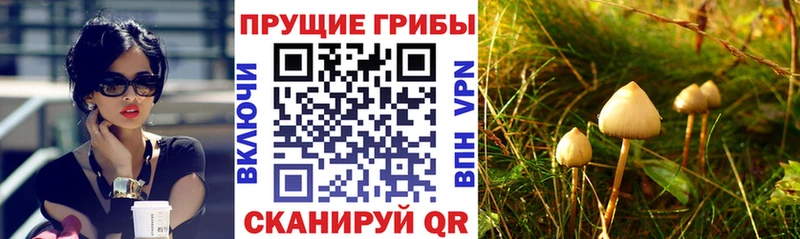 Галлюциногенные грибы мицелий  Стерлитамак 
